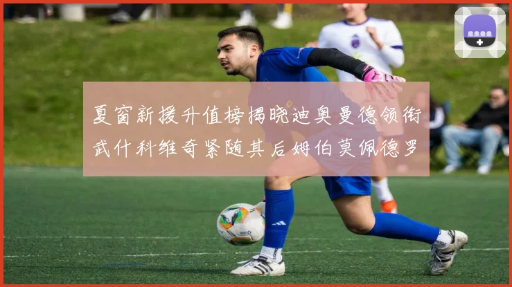 夏窗新援升值榜揭晓迪奥曼德领衔武什科维奇紧随其后姆伯莫佩德罗表现抢眼